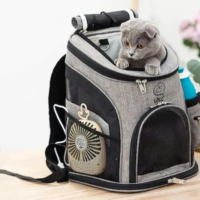 71DvwVB4CL._AC_SL1200_ About Petcarrier store