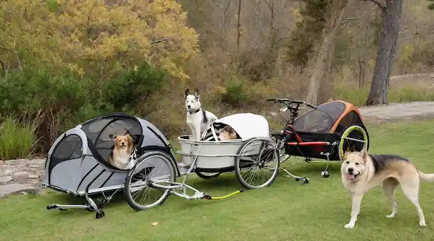 Pet Carrier- beste hondenfietskarren onde3 de 500 Euro