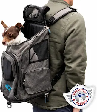 Pet Carrier Sherpa Reisrugzak
