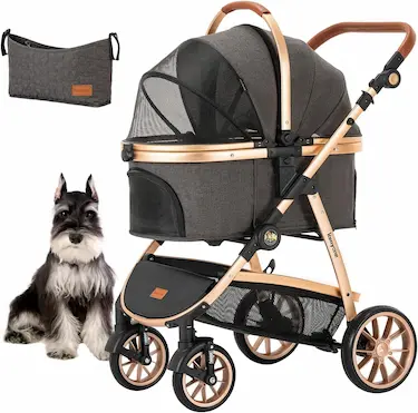 Buggy Kennyone