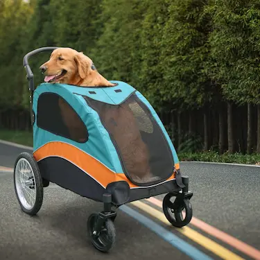 Buggy Refhey