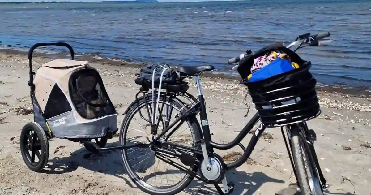 Hondenfietskar | Petcarrierstore